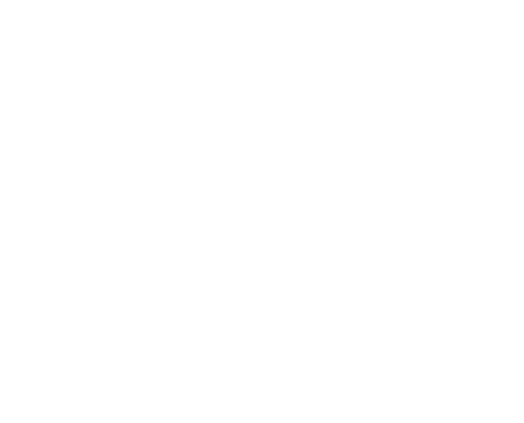 Bridgestone Americas Brand Assets
